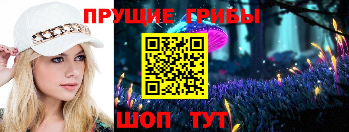 Галлюциногенные грибы Cubensis  Вход с VPN  Вольск  Псилоцибиновые грибы Psilocybine cubensis 